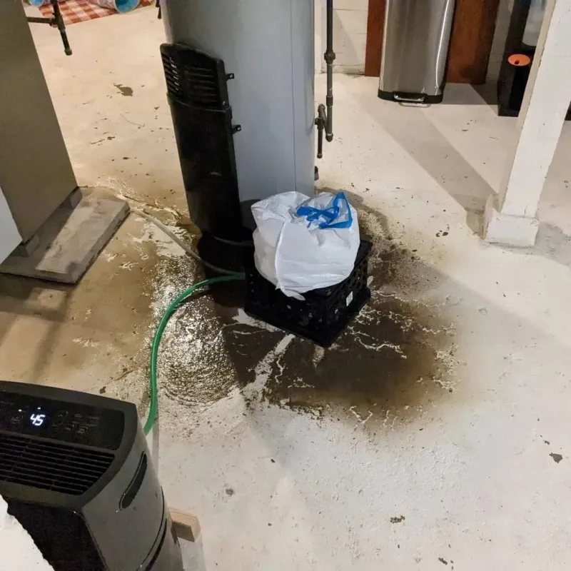 Sewage Backup Cleanup Service in Collingdale, PA